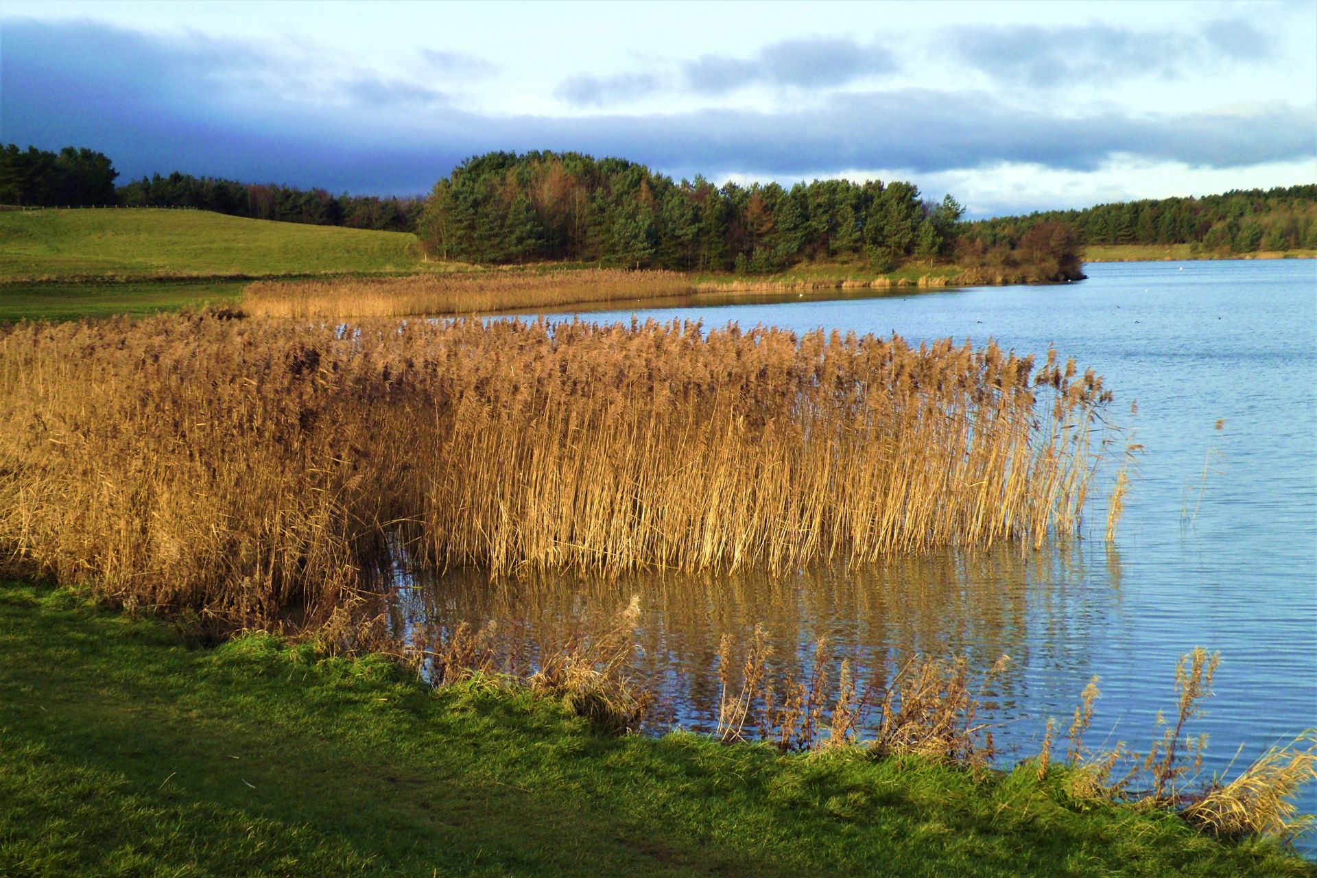 Druridge Bay Country Park